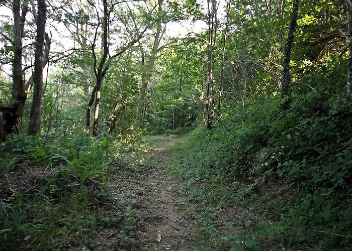 Domaine Vallee Du Tarn Sn 3* Saint-Cirgue