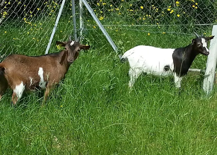 Domaine Vallee Du Tarn Sn