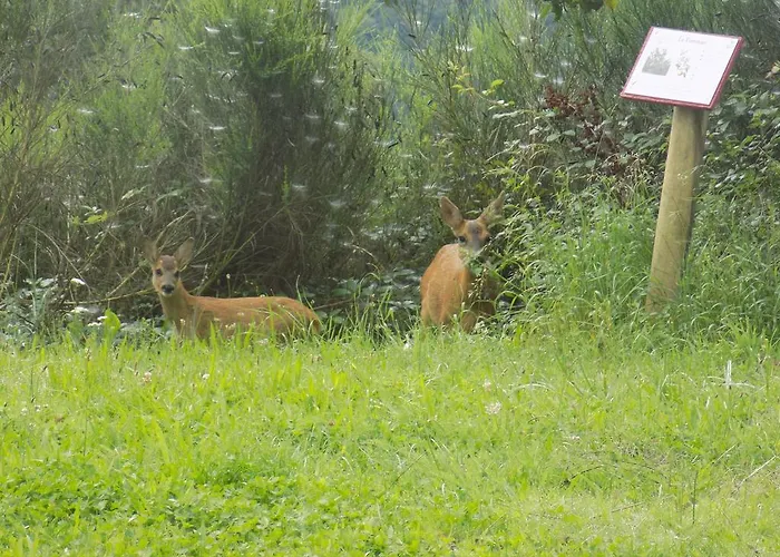 Domaine Vallee Du Tarn Sn Saint-Cirgue