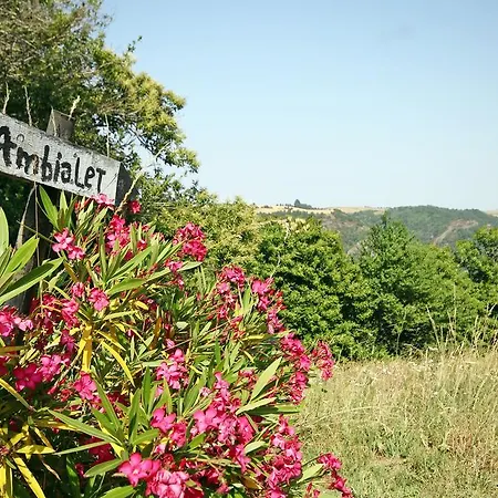Kamp alanı Domaine Vallee Du Tarn Sn 3*