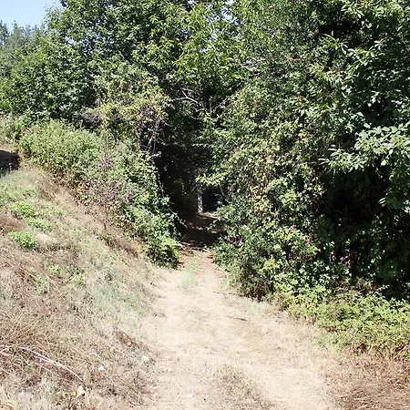 Campsite Domaine Vallee Du Tarn Sn