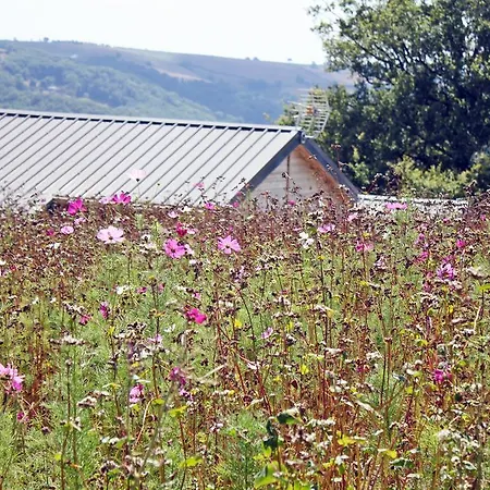 Camping Domaine Vallee Du Tarn Sn 3*