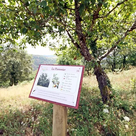 Domaine Vallee Du Tarn Sn אתר קמפינג Saint-Cirgue