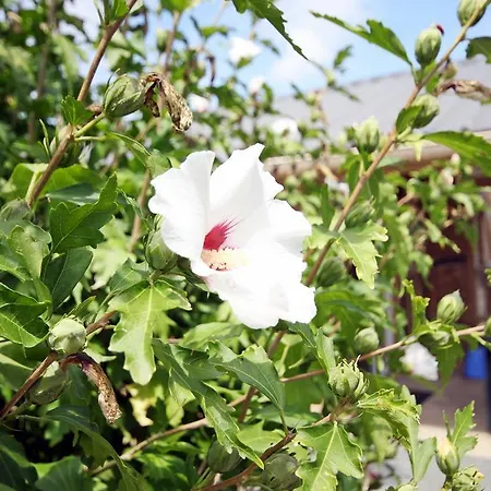 Domaine Vallee Du Tarn Sn