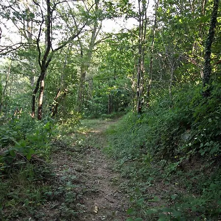 Domaine Vallee Du Tarn Sn 3* Saint-Cirgue