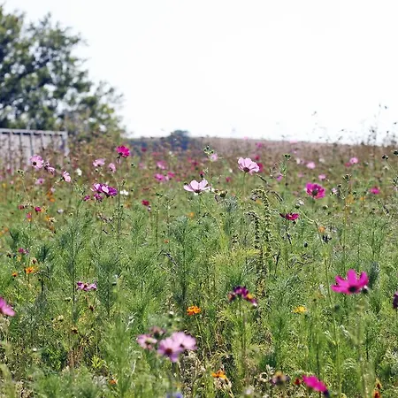 Domaine Vallee Du Tarn Sn Camping