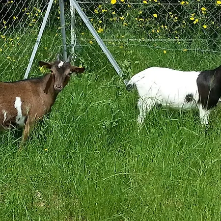 Domaine Vallee Du Tarn Sn