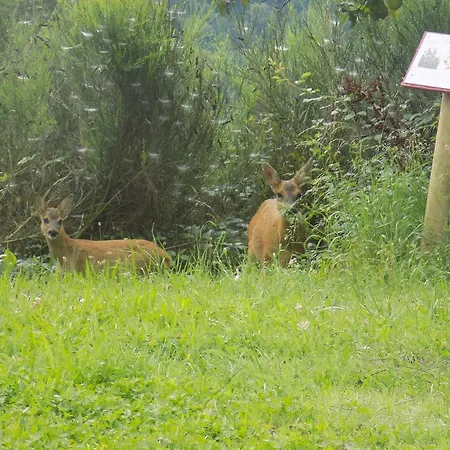 Domaine Vallee Du Tarn Sn Saint-Cirgue