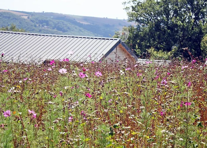 Campingplatz Domaine Vallee Du Tarn Sn 3*