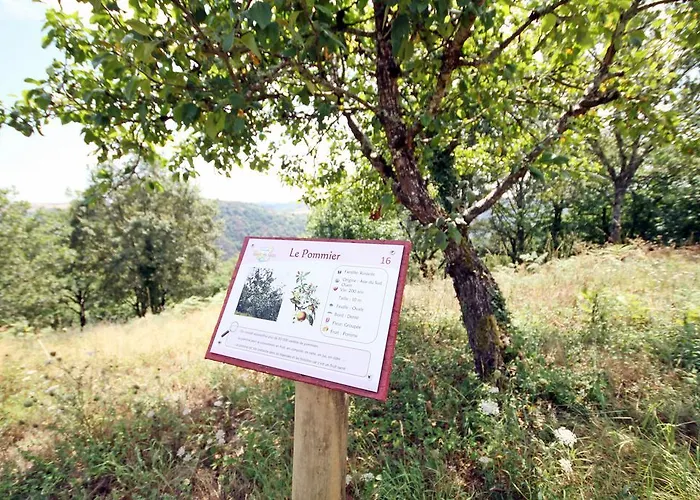 Domaine Vallee Du Tarn Sn Campingplatz Saint-Cirgue