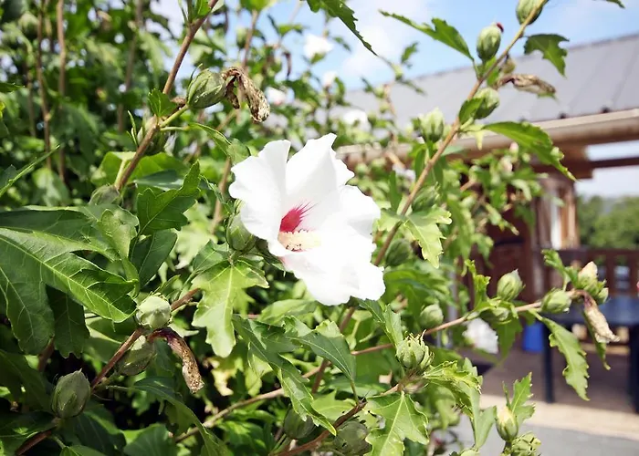 Domaine Vallee Du Tarn Sn