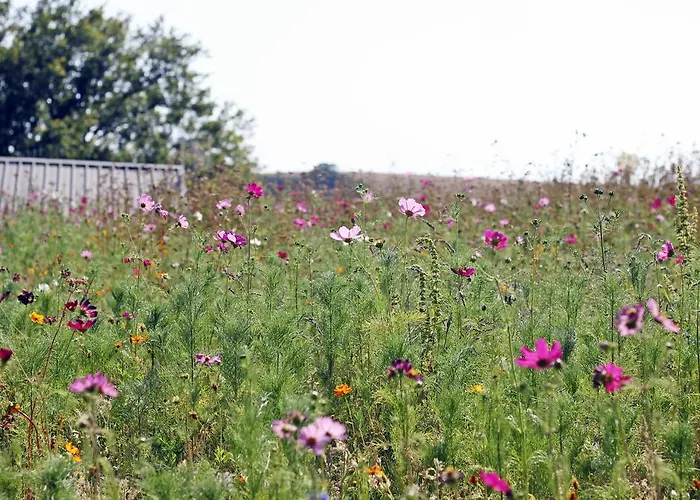 Domaine Vallee Du Tarn Sn Campingplatz