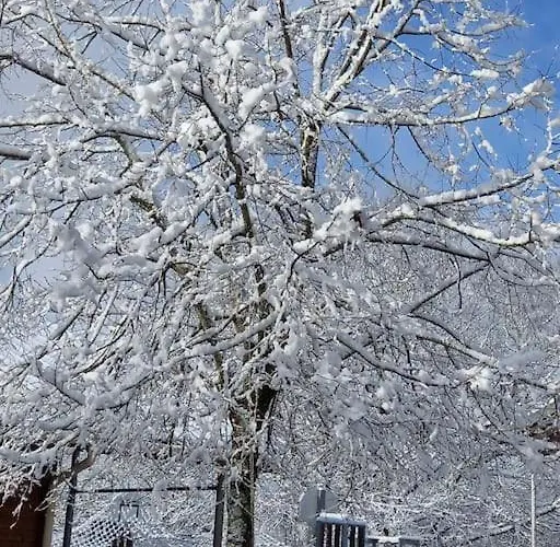Domaine Vallee Du Tarn Sn